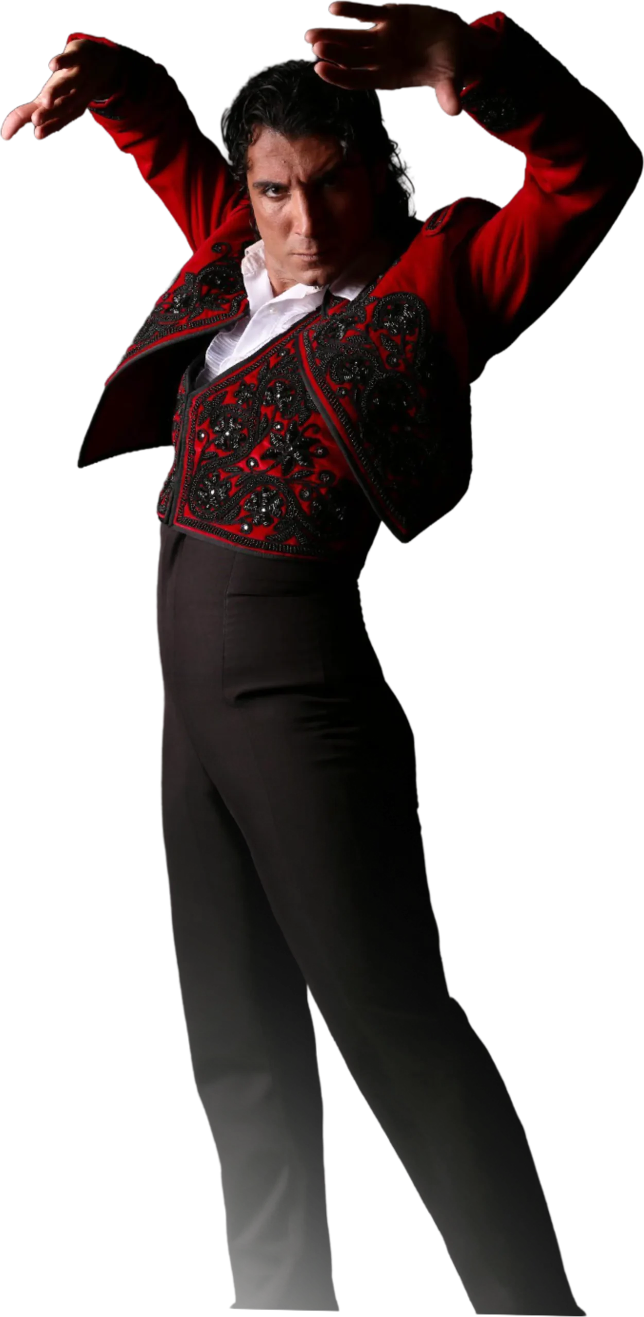 Flamenco reference 1